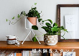 植木鉢＆鉢スタンドの画像