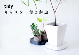 tidy/キャスター付き鉢皿の画像