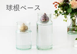 球根ベース/花瓶の画像