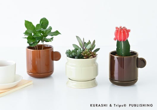 陶器の植木鉢の画像