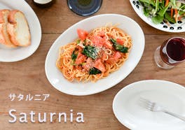 saturnia/サタルニアの画像